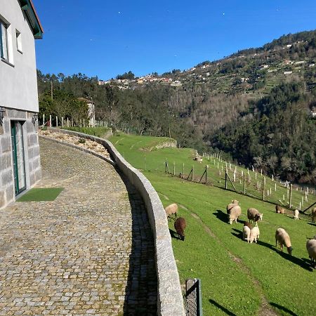Quinta De Varzielas - Agroturismo カステロ・デ・パイヴァ エクステリア 写真