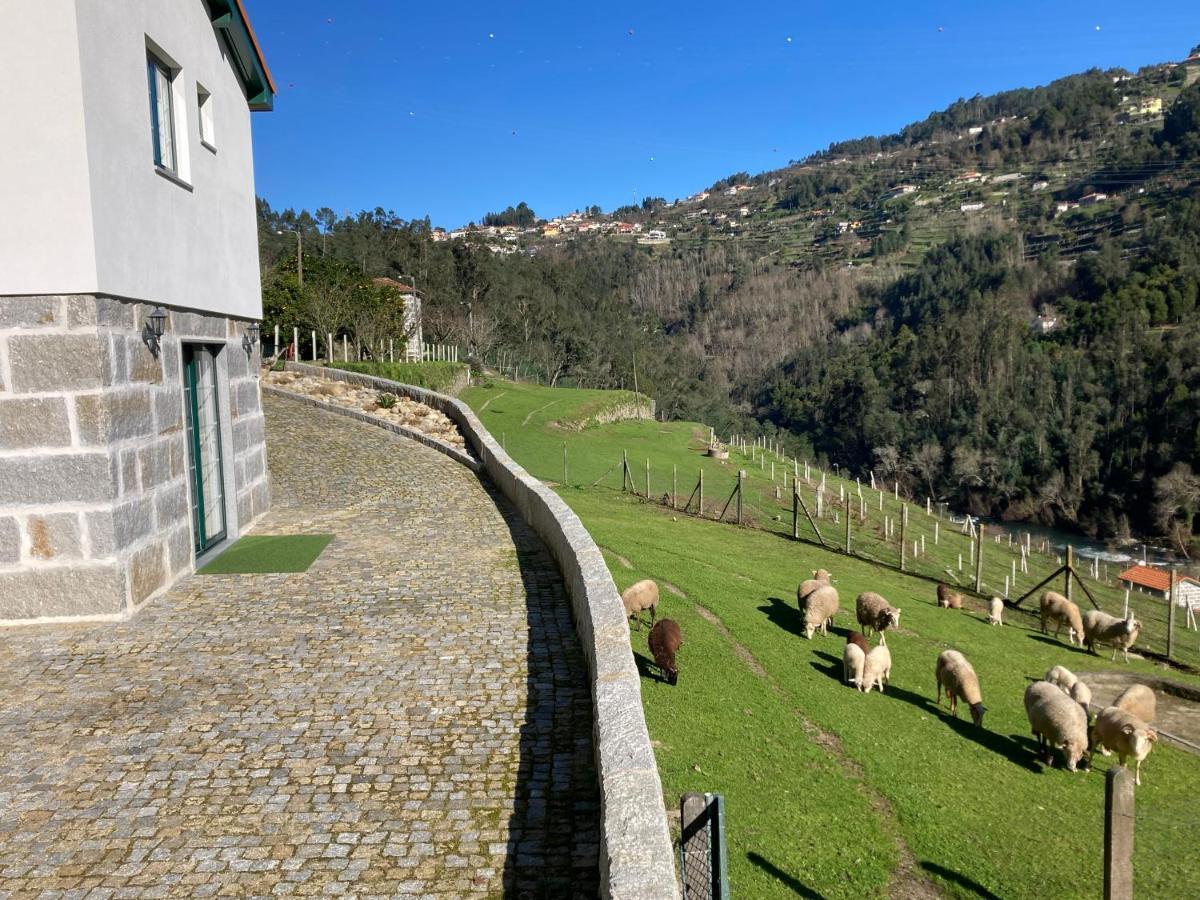 Quinta De Varzielas - Agroturismo カステロ・デ・パイヴァ エクステリア 写真
