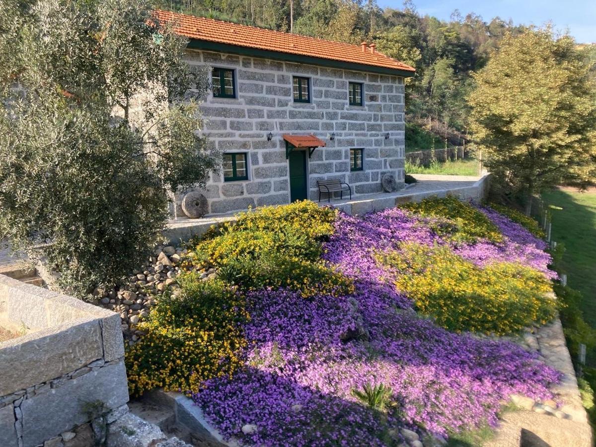 Quinta De Varzielas - Agroturismo カステロ・デ・パイヴァ エクステリア 写真
